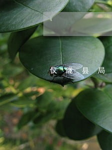仪陇县局安全管理制度 仪陇县局安全管理制度