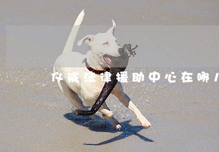 仪陇法律援助中心在哪儿 仪陇法律援助中心在哪儿