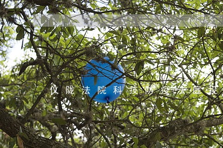 仪陇法院科技防疫法庭投入使用 仪陇法院科技防疫法庭投入使用