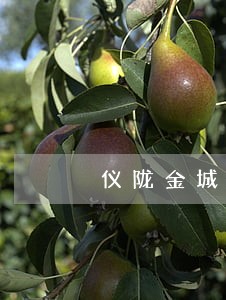 仪陇金城司法局电话 仪陇金城司法局电话