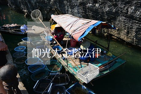 仰光大金塔法律 仰光大金塔法律