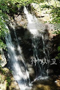 仲从卫律师 仲从卫律师