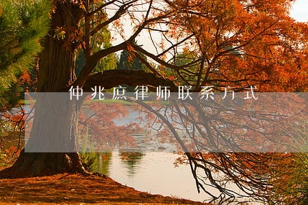 仲兆庶律师联系方式 仲兆庶律师联系方式