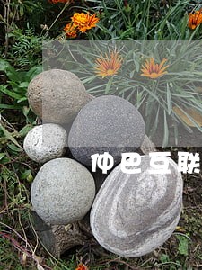 仲巴互联网借款合同律师
