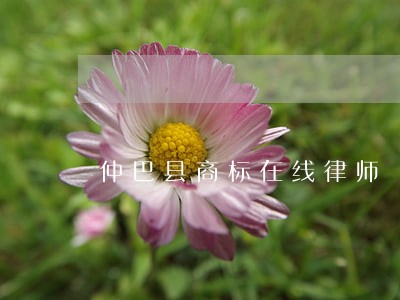 仲巴县商标在线律师