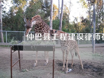 仲巴县工程建设律师在线咨询 仲巴县工程建设律师在线咨询