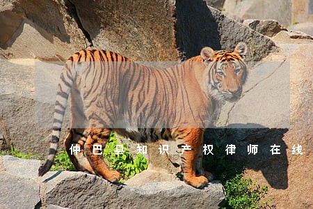 仲巴县知识产权律师在线免费咨询 仲巴县知识产权律师在线免费咨询