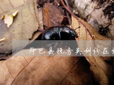 仲巴县税务类纠纷在线律师 仲巴县税务类纠纷在线律师