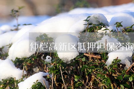 仲恺高新区抵押担保咨询律师代理 仲恺高新区抵押担保咨询律师代理