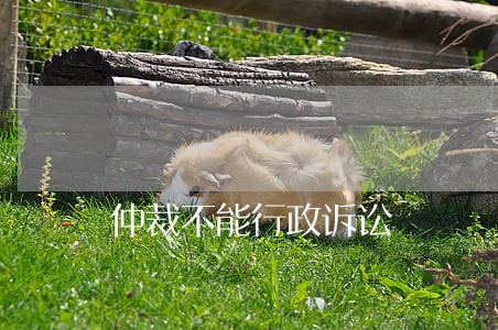 仲裁不能行政诉讼 仲裁不能行政诉讼