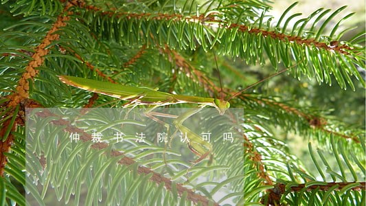 仲裁书法院认可吗 仲裁书法院认可吗