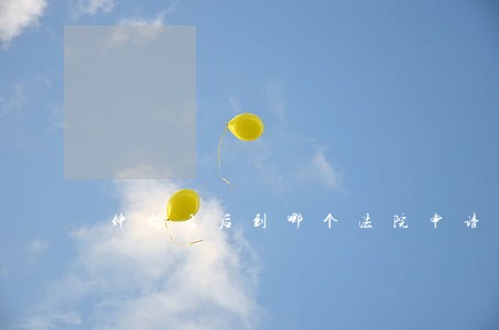 仲裁以后到哪个法院申请执行 仲裁以后到哪个法院申请执行