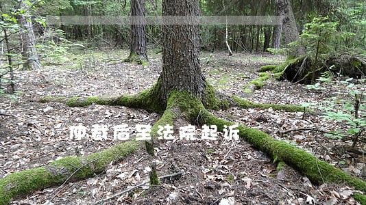 仲裁后至法院起诉 仲裁后至法院起诉