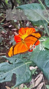 仲裁员违法渎职找哪个部门 仲裁员违法渎职找哪个部门
