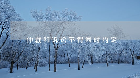 仲裁和诉讼不得同时约定 仲裁和诉讼不得同时约定