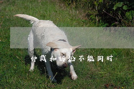仲裁和诉讼不能同时 仲裁和诉讼不能同时