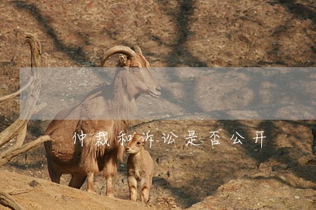 仲裁和诉讼是否公开 仲裁和诉讼是否公开