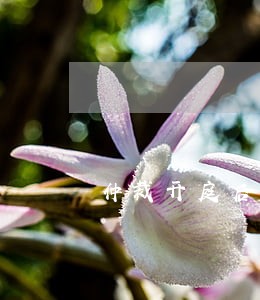 仲裁开庭后需要请律师吗 仲裁开庭后需要请律师吗