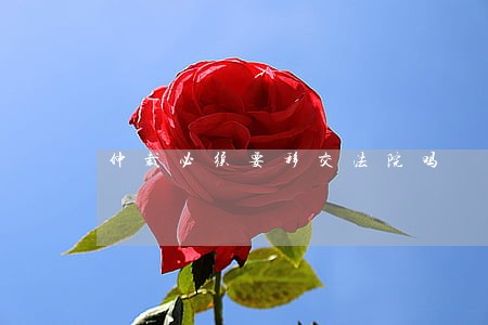 仲裁必须要移交法院吗 仲裁必须要移交法院吗