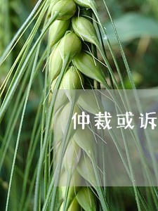 仲裁或诉讼能同时约吗