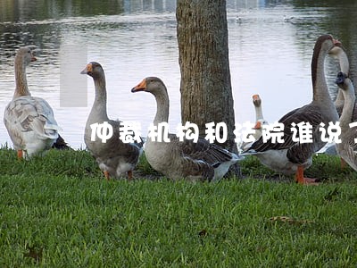 仲裁机构和法院谁说了算 仲裁机构和法院谁说了算