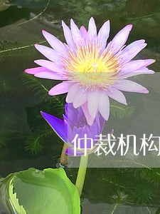 仲裁机构网贷逾期启动需要几天
