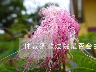 仲裁条款法院是否会主动审查 仲裁条款法院是否会主动审查