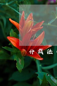 仲裁法律顾问做的工作 仲裁法律顾问做的工作