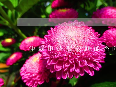 仲裁申请被驳回能否向法院起诉 仲裁申请被驳回能否向法院起诉