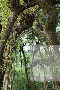 仲裁的适用范围大于民事诉讼吗 仲裁的适用范围大于民事诉讼吗