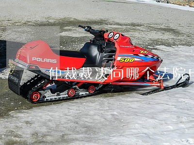 仲裁裁决向哪个法院申请执行 仲裁裁决向哪个法院申请执行