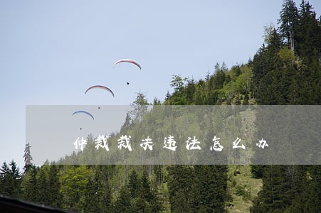 仲裁裁决违法怎么办 仲裁裁决违法怎么办
