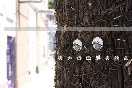 仲裁解决和诉讼解决的区别