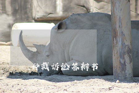 仲裁诉讼答辩书 仲裁诉讼答辩书