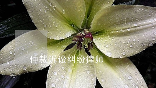 仲裁诉讼纠纷律师 仲裁诉讼纠纷律师