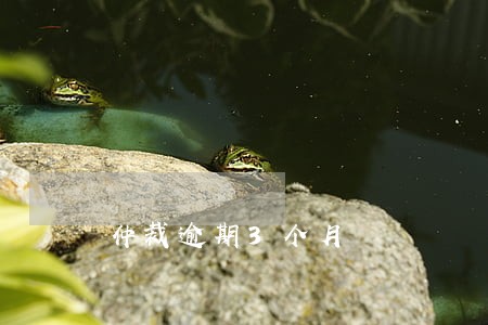 仲裁逾期3个月