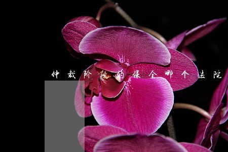 仲裁阶段的保全哪个法院管辖 仲裁阶段的保全哪个法院管辖