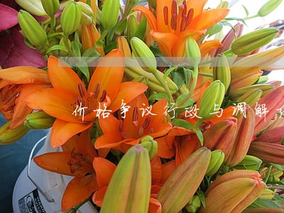 价格争议行政与调解结合 价格争议行政与调解结合