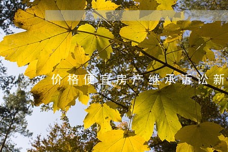 价格便宜房产继承诉讼新法定 价格便宜房产继承诉讼新法定