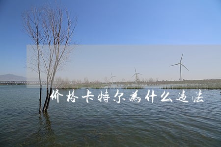 价格卡特尔为什么违法 价格卡特尔为什么违法