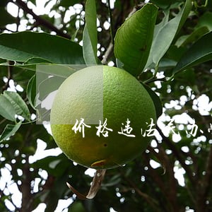 价格违法民办学校 价格违法民办学校