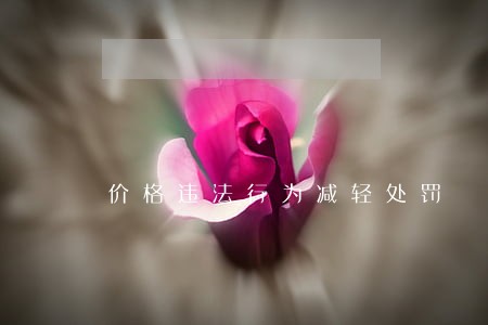 价格违法行为减轻处罚