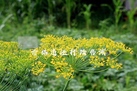 价格违法行政告诫 价格违法行政告诫
