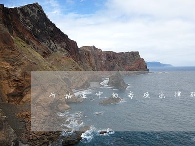 价格适中的专项法律顾问 价格适中的专项法律顾问