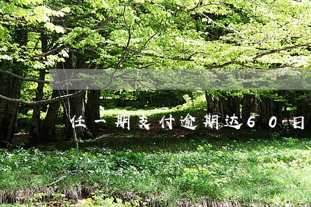 任一期支付逾期达60日的 任一期支付逾期达60日的