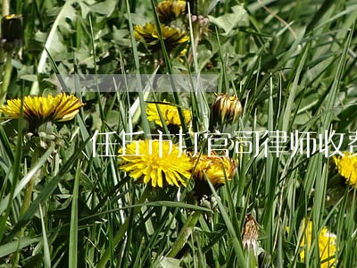 任丘市打官司律师收费 任丘市打官司律师收费