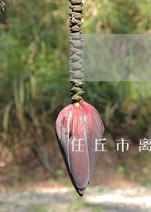 任丘市离婚律师 任丘市离婚律师