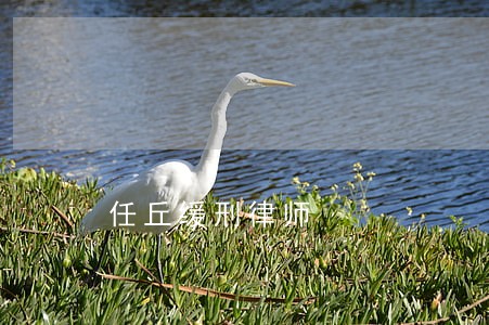 任丘缓刑律师 任丘缓刑律师
