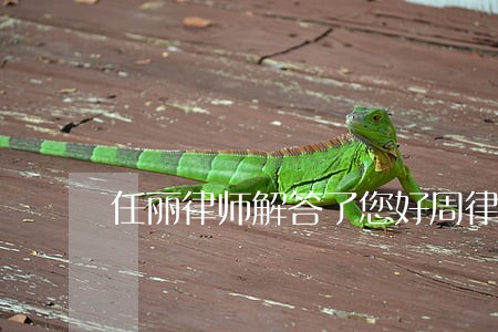 任丽律师解答了您好周律师 任丽律师解答了您好周律师