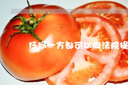 任何一方都可以向法院提起诉 任何一方都可以向法院提起诉